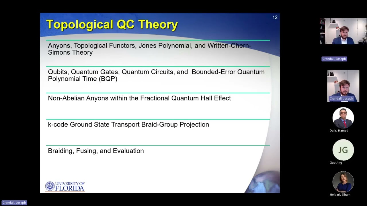 Topological Quantum Computation I/O