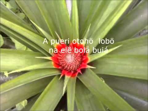 Canción Bubi. Lili Afro - Weco lele