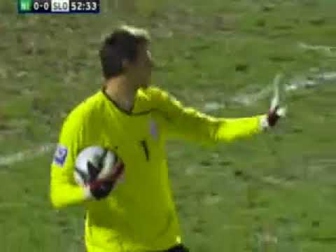 Northern Ireland 1 - 0 Slovenia (01 April 2009)