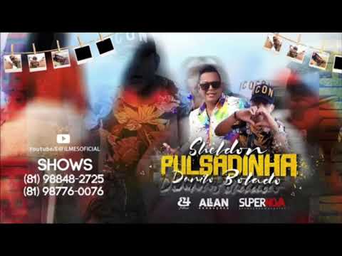 SHELDON E DANILO BOLADO - PULSADINHA ( MÚSICA NOVA )