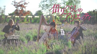 【借りぐらしのアリエッティ】荒れた庭 The Neglected Garden - The Secret World of Arrietty OST / Harp Guitar Cello