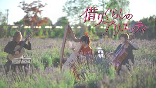 Download lagu 【借りぐらしのアリエッティ】荒れた庭 The Neglected Garden - The Secret World of Arrietty OST / Harp Guitar Cello mp3 Download lagu 【借りぐらしのアリエッティ】荒れた庭 The Neglected Garden - The Secret World of Arrietty OST / Harp Guitar Cello mp3