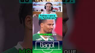 Faltou casca ao Palmeiras?