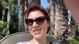 Missing My World Lit Chums