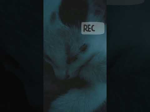 Bunga, Amzar Sabri - 300 Saat (Cover) Part 2