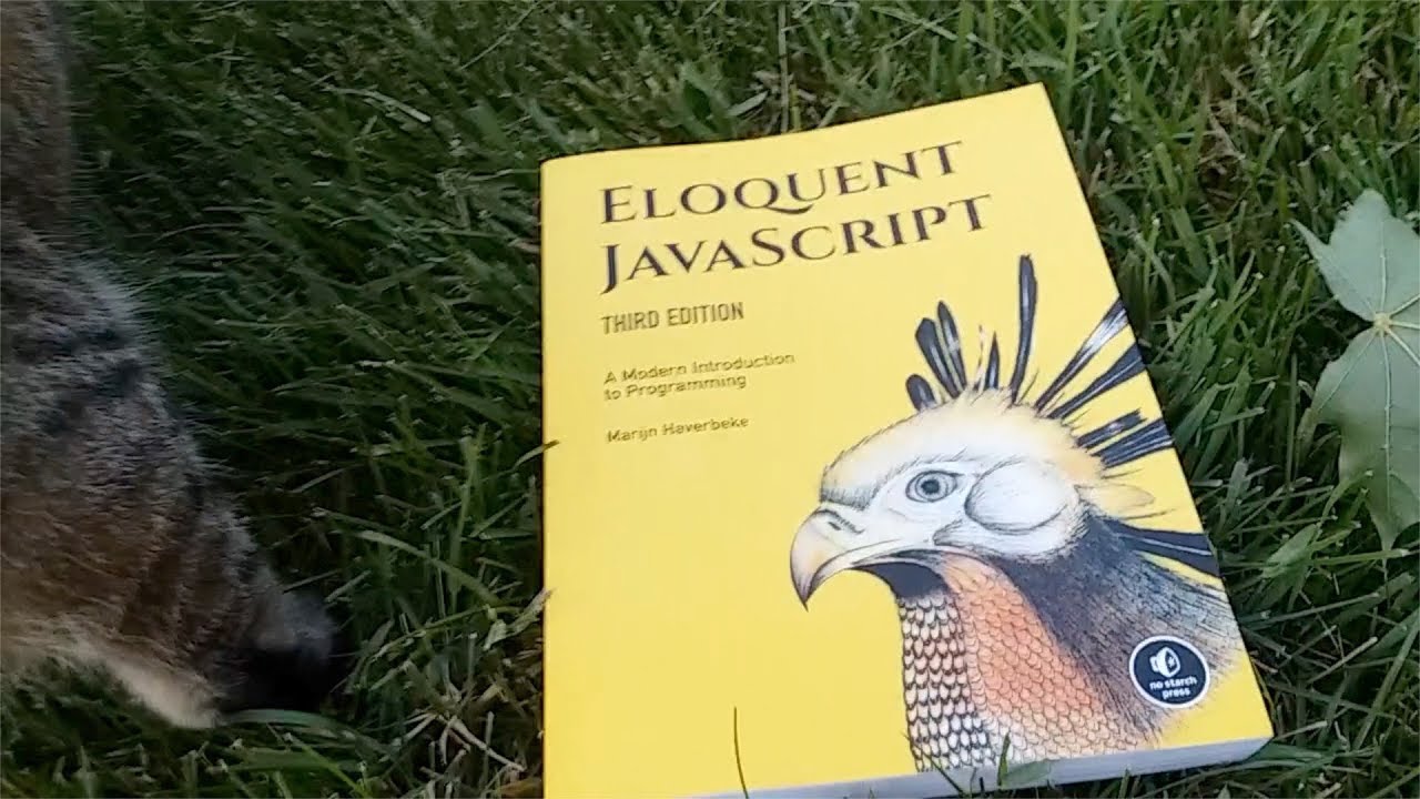 Eloquent JavaScript A Modern Introduction to Programming 3rd Edition by Marijn Haverbeke review