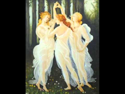 Aleksander Nõlvak - Armuleek