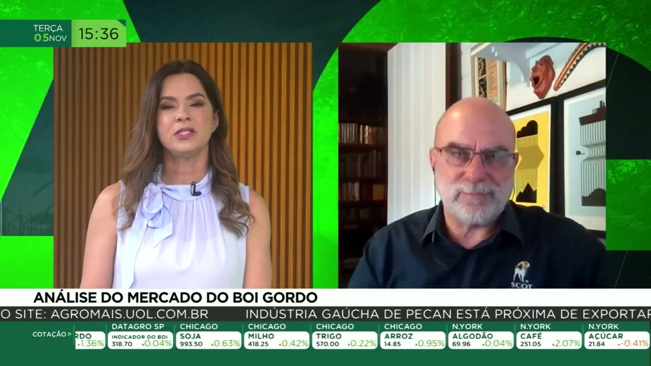 Análise do mercado do Boi Gordo