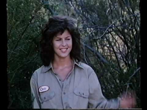 Die Herrschaft der Ninja Teil 2