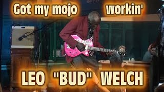 4K - LEO "BUD" WELCH - Got my mojo workin' - LIVE HD