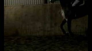 Spånka nkpg fet Malin Baryard - do you wanna ride