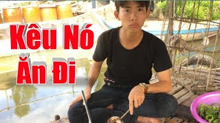 Ki&ecirc;u n&oacute; ăn đi