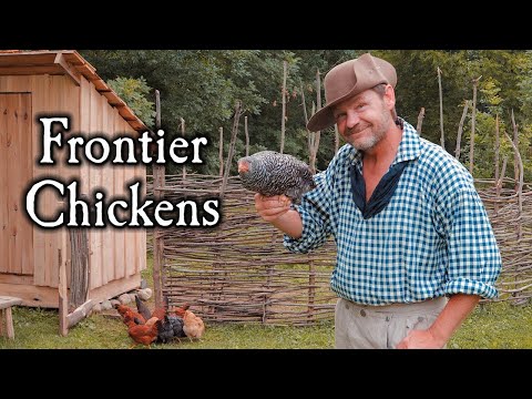 Dr. Sara May, Allergy and Immunology