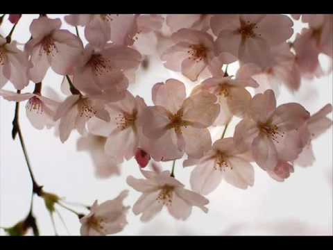 Summer Visitor  by Dimitris Maramis music