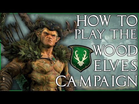 How to Play The Wood Elf Campaign | Total War: Warhammer 2