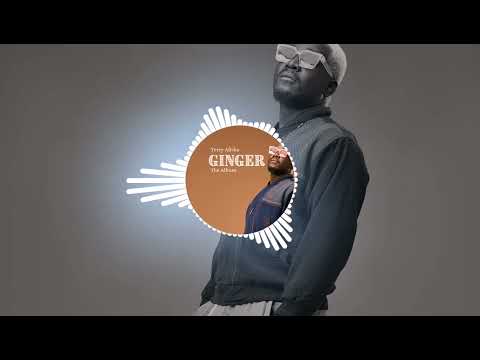 Terry Africa ft TiGonzi   Taingotenda wani