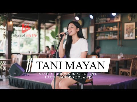 Tani Mayan - Pop Daerah Lamaholot