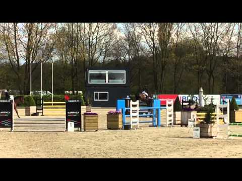 Gasall ( Casall x Carthago ).