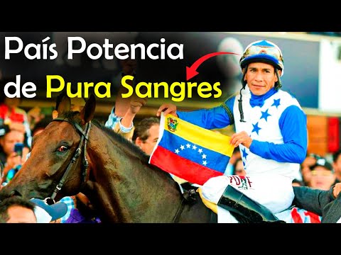 CLÁSICOS del CARIBE Ganados por VENEZUELA (Serie hípica del Caribe 2022)