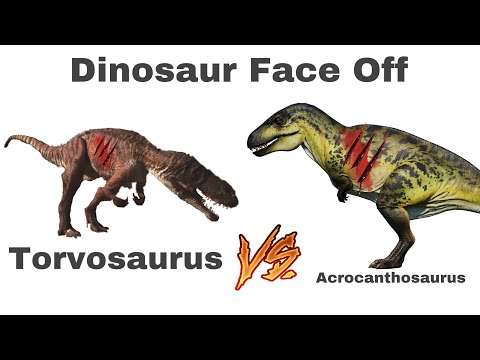 Dinosaur Face Off Torvosaurus vs Acrocanthosaurus