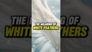 The Meaning of White Feathers