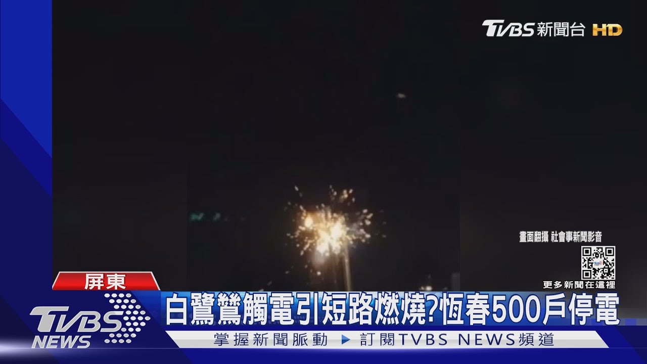 變「焦阿巴」了？白鷺鷥站電桿突冒火花　恆春500戶停電