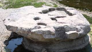 Is Anybody Going to San Antone