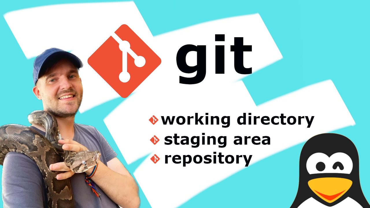 Git | working directory | staging area | repository. Differences.