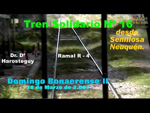 Tren Solidario Nº 16; Senillosa Neuquén: Domingo Bonaerense II