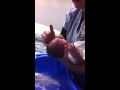 Jack S First Bath Part 2