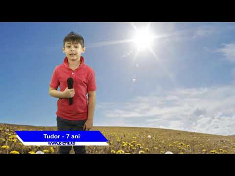 Prognoza Meteo - Tudor Burlacu (7 ani)