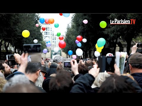 Des milliers de personnes pour dire au revoir à Jacques Higelin