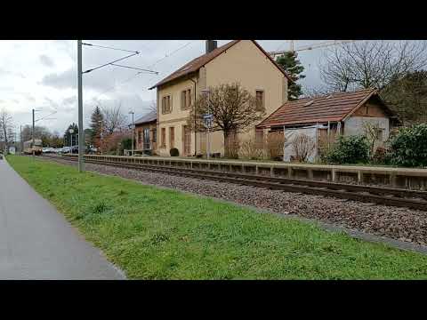 Einfahrt einer S32 in den Bahnhof Oberöwisheim nach Menzingen