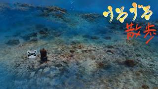 【すろずろ散歩 #２３１】沖縄の海に潜りたい！！【VRChat散策】
