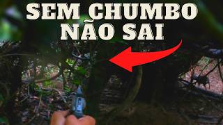 ESSA DEU TRABALHO | JAVALI BRASIL | #repost