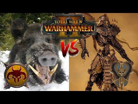 Beastmen vs Tomb Kings | WILD HOGS MEET USHABTI - Total War Warhammer 2