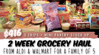 2 Week Family Grocery Haul with Dinner Ideas + Mini Pantry Stock Up