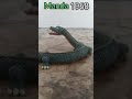 Custom Manda 1968 From Destroy All Monsters