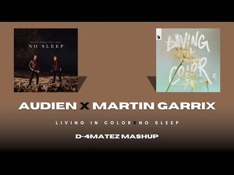 Martin Garrix x Audien - No Sleep x Living in Color (D-4MATEZ MASHUP)