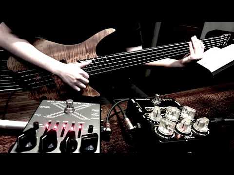 Strandberg Boden Bass Prog 5 & Darkglass Electronics X7