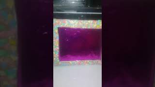 85 Koleksi Kolase Kulit Telur Gambar Apel Gratis Terbaik