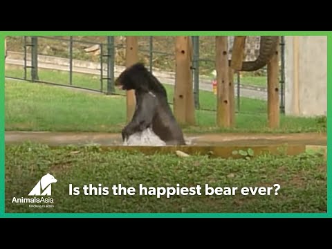 7 uplifting stories from Vietnam in 2016 that will make you smile - VnExpress International