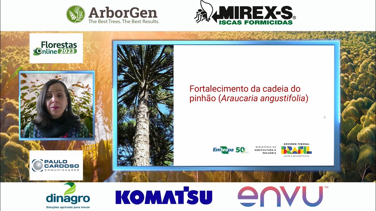 Fortalecimento de cadeias produtivas de alimentos florestais - Florestas Online 2023
