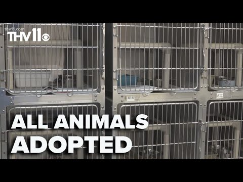 All animals adopted at North Little Rock animal shelter
