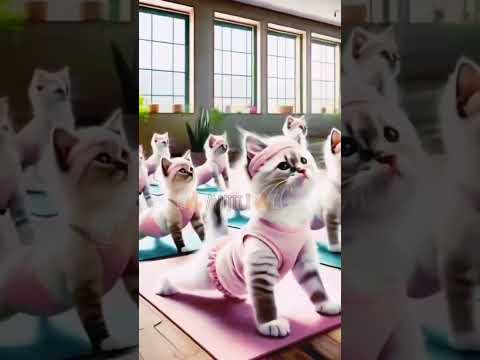 #bollywood #youtubeshorts #treanding #shorts #catdance #song #dance #music #movie