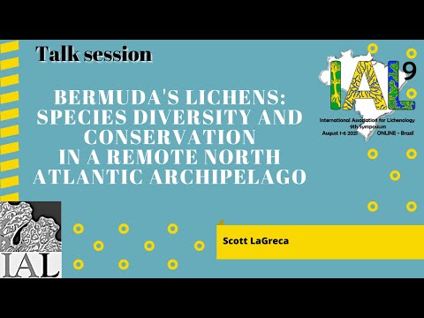 IAL9 - Talk session - Scott La Greca