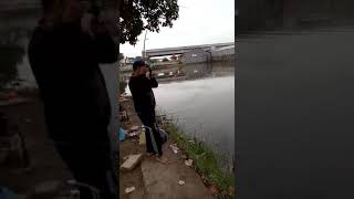 preview picture of video 'Umpan jitu ikan patin'