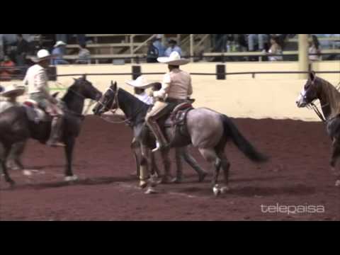 27 - The Best of the Coleaderos - Tlajomulco de Zuñiga, Jalisco