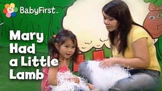 Mary Had a Little Lamb Nursery Rhyme | Music Videos | BabyFirst TV