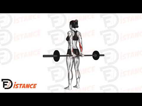 Curl de poignet arrière debout avec barre - Exercice Curl de poignet arrière debout avec barre en vidéo Curl de poignet arrière debout avec barre - Exercice Curl de poignet arrière debout avec barre en vidéo